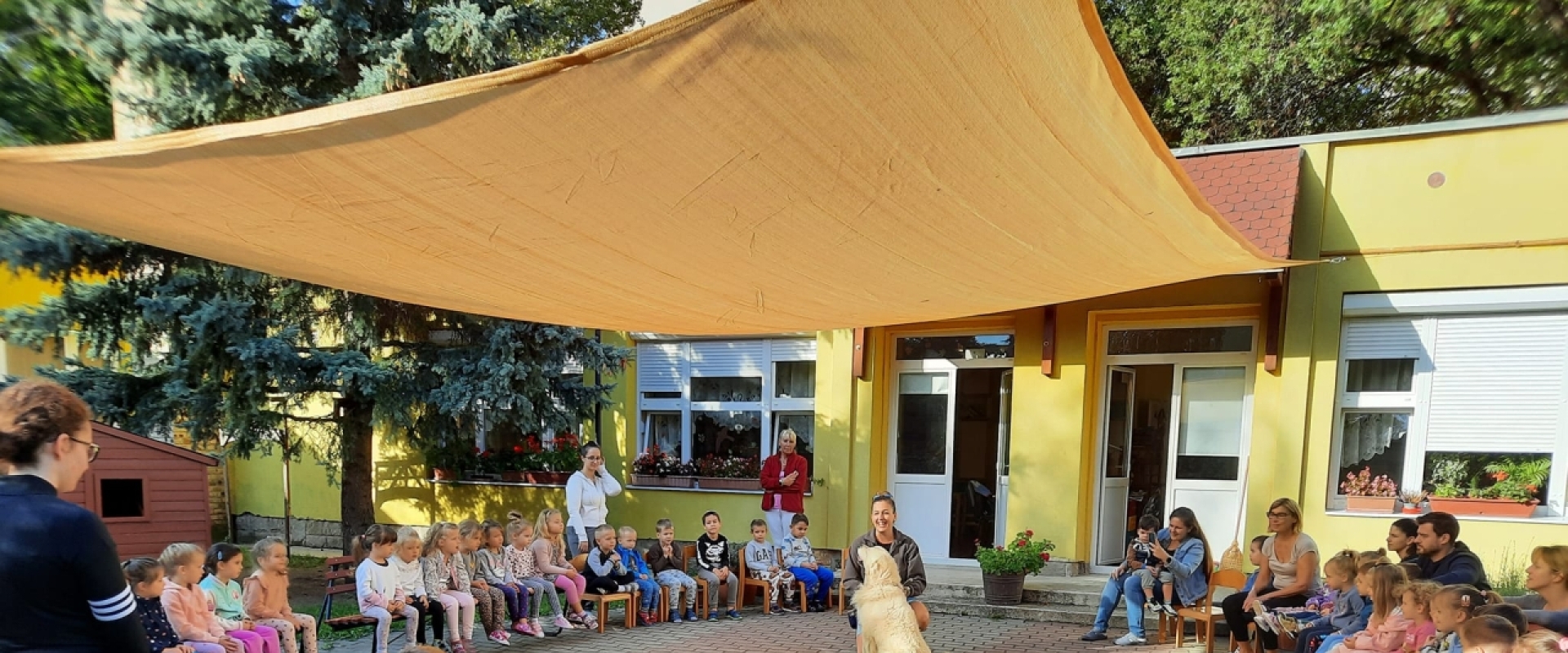 Slide: Állatok világnapja